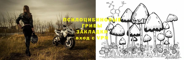 эйфоретик Сатка