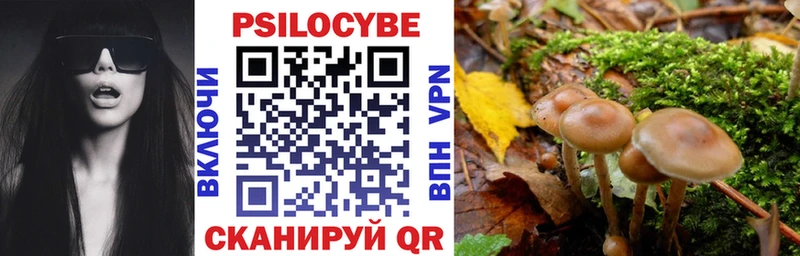 Псилоцибиновые грибы Psilocybe  купить наркоту  Бобров 